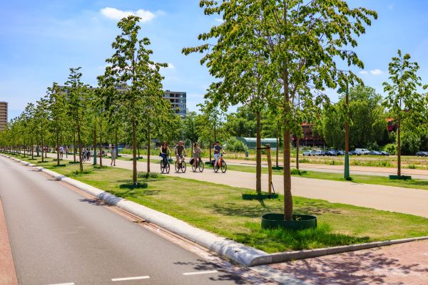 Groene Loper_Fred Berghmans_sl-7077.jpg