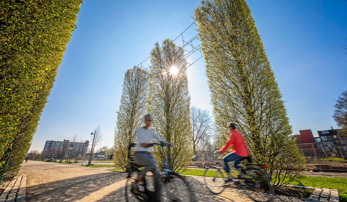 Fietsers bij de boombogen. © Aron Nijs