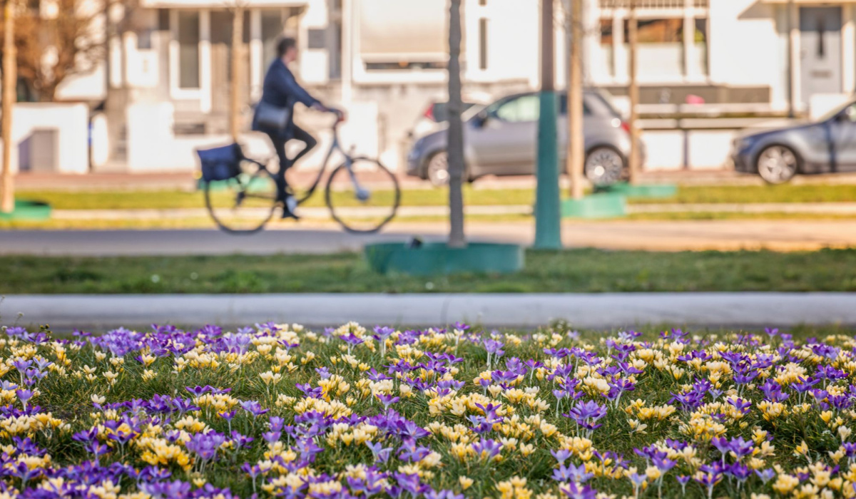 Lente aan de Groene Loper. © Aron Nijs